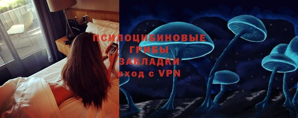 амф Алексин